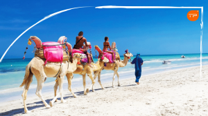 djerba1